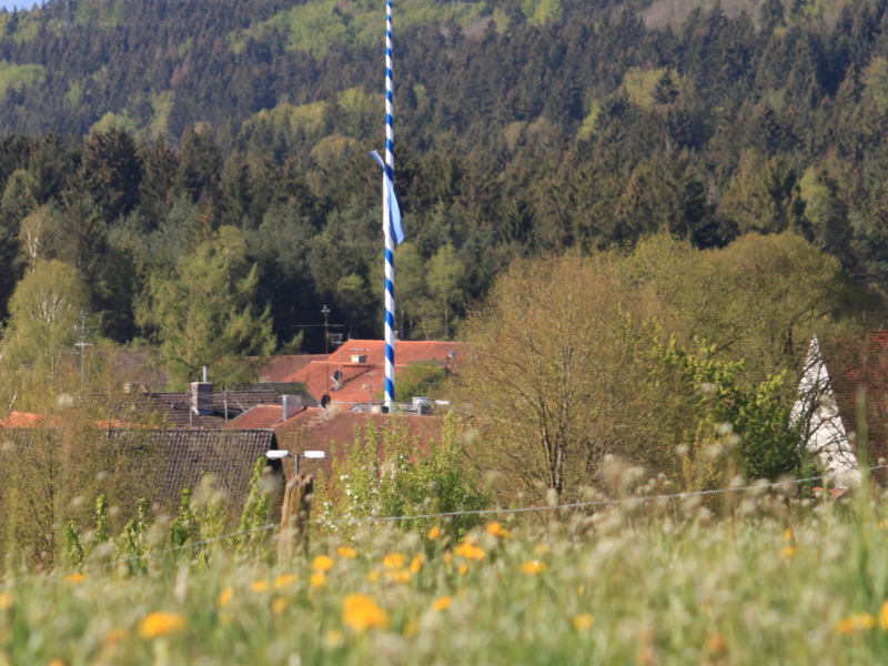 Blick auf Egling, blühende Wiese im Vordergrund