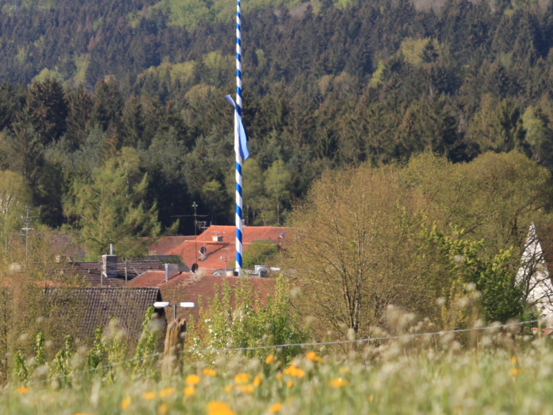 Blick auf Egling, blühende Wiese im Vordergrund