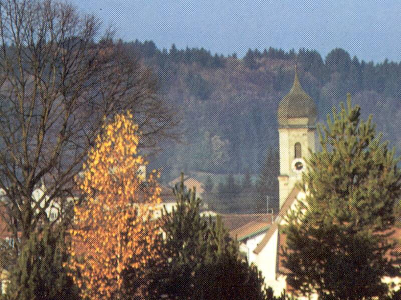 Historisches Bild Egling - Bäume im Herbst, Kirchturm im Hintergrund