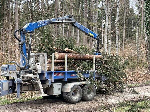 Rückewagen mit Bäumen beladen