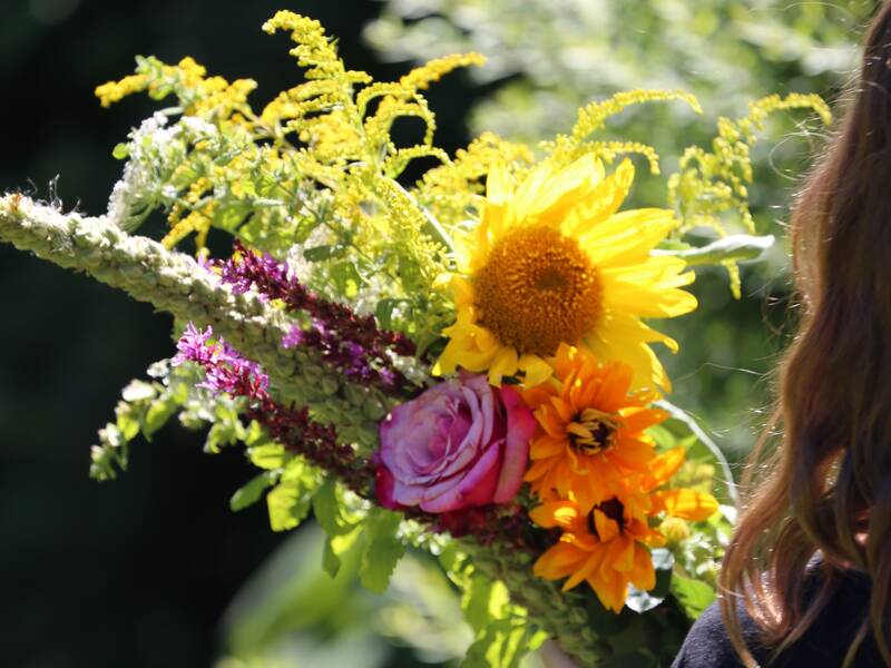 Kräuter und Blumen gebunden zu Mariä Himmelfahrt